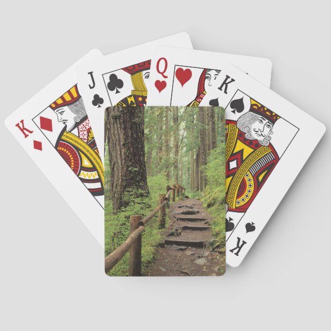 Baraja De Cartas WA, Parque Nacional Olympic, Valle de Sol Duc, bos (Reverso)