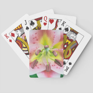 Baraja De Cartas Washington, Bellevue, Lily
