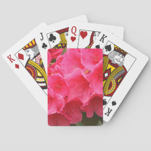 Baraja De Cartas Washington, Seattle, Puget Sound, Parque Discovery