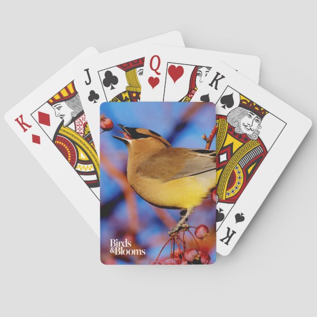 Baraja De Cartas Waxwing de cedro (Reverso)