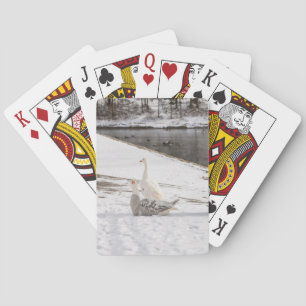 Baraja De Cartas Whats Up Goose