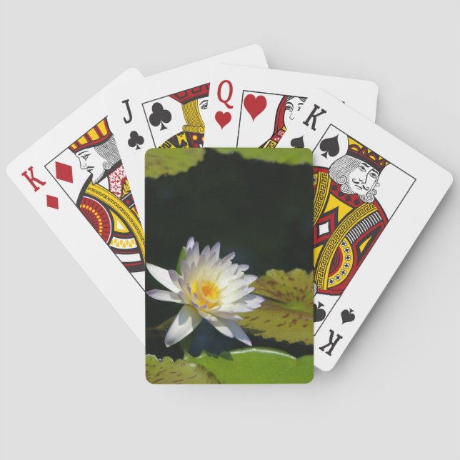 Baraja De Cartas White Lotus Waterlily (Reverso)