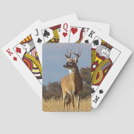 Baraja De Cartas Whitetail Buck