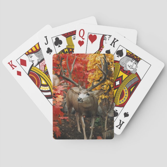 Baraja De Cartas Whitetail En Otoño (Reverso)