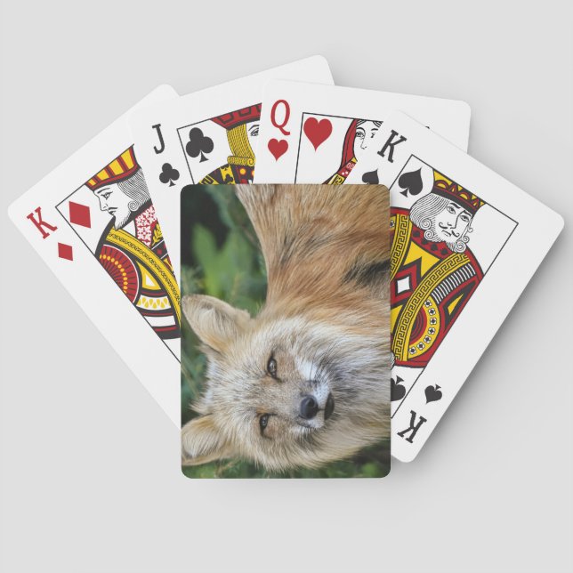 Baraja De Cartas Wild Fox (Reverso)