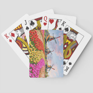 Baraja De Cartas Windmills, Keukenhof, Países Bajos