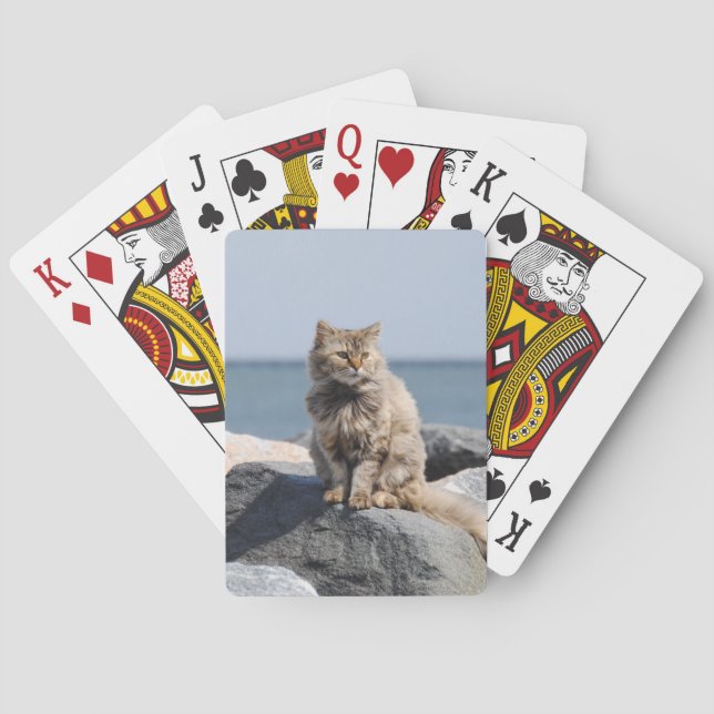 Baraja De Cartas Windswept Cat by Sea (Reverso)