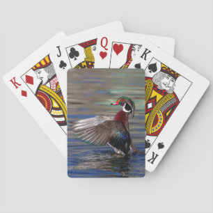 Baraja De Cartas Wing Flapping Wood Duck