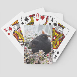 Baraja De Cartas Winter Blackbird