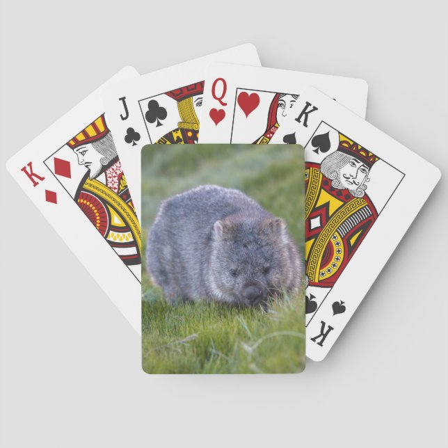 Baraja De Cartas Wombat Australia (Reverso)