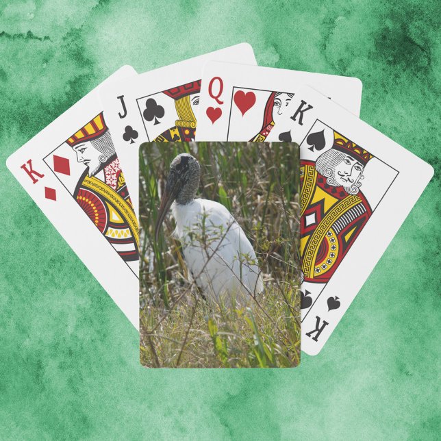 Baraja De Cartas Wood Stork Bird Florida Fotografía (A deck of playing cards featuring a wood stork bird.)