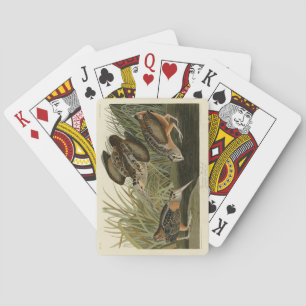 Baraja De Cartas Woodcock estadounidense de los pájaros de América 