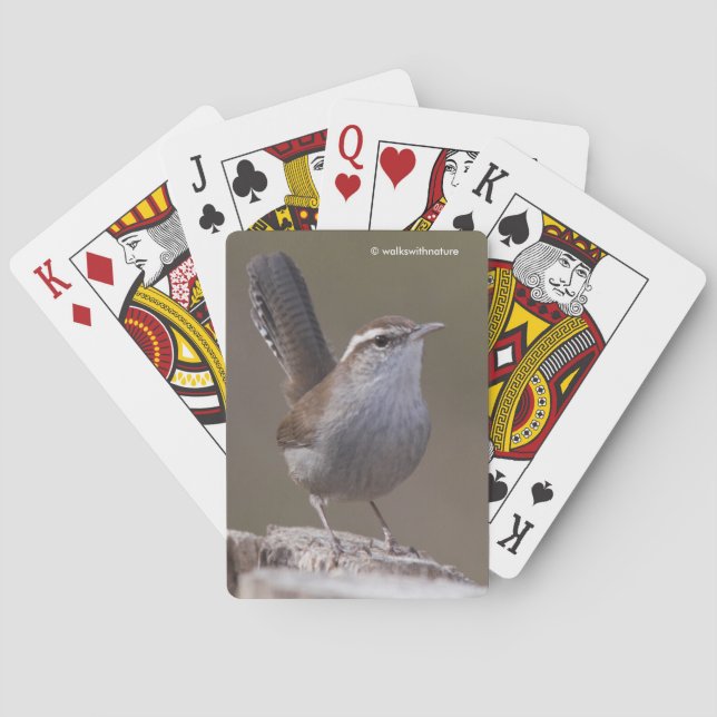 Baraja De Cartas Wren Songbird de Bewick sobre Treestump (Reverso)