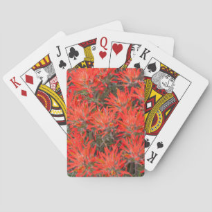 Baraja De Cartas Wyoming, Condado de Lincoln, Pincel del Desierto