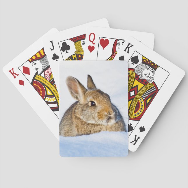 Baraja De Cartas Wyoming, condado de Sublette, conejo de Nuttall (Reverso)