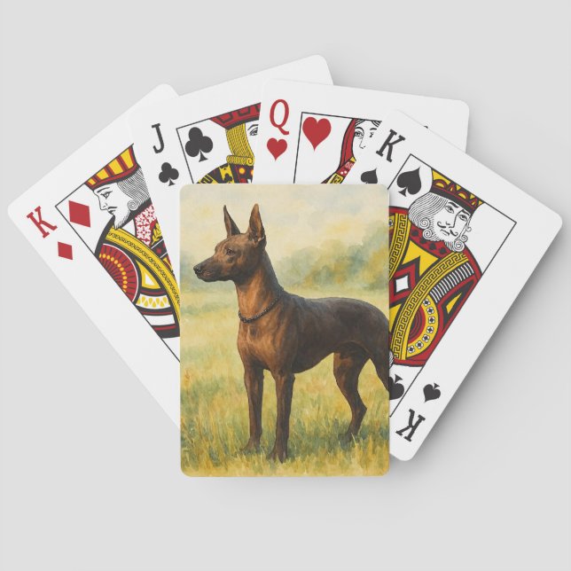 Baraja De Cartas Xoloitzcuintli (Reverso)