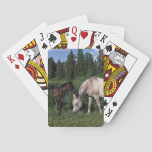 Baraja De Cartas Yegua y potro árabes 2