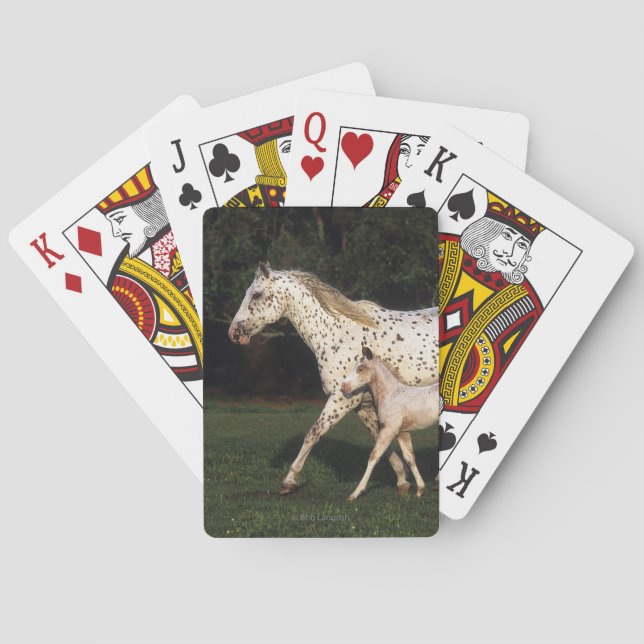 Baraja De Cartas Yegua y potro del Appaloosa en campo (Reverso)