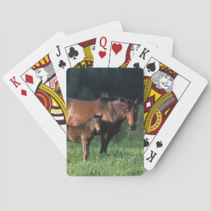 Baraja De Cartas Yegua y potro excelentes 1