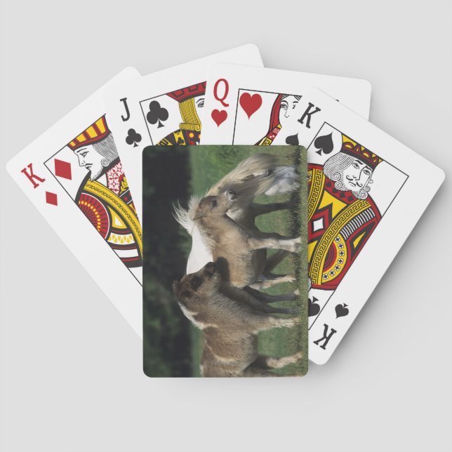 Baraja De Cartas Yegua y potros miniatura 3 (Reverso)