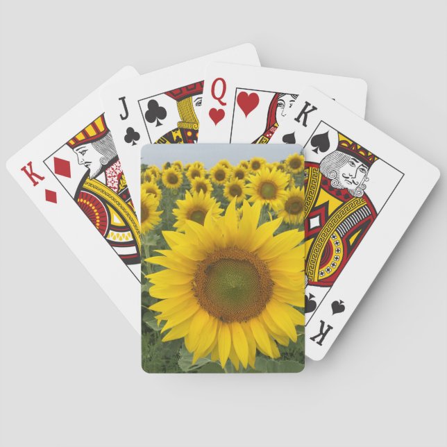 Baraja De Cartas Yellow Sunflowers Floral Country Harvest (Reverso)
