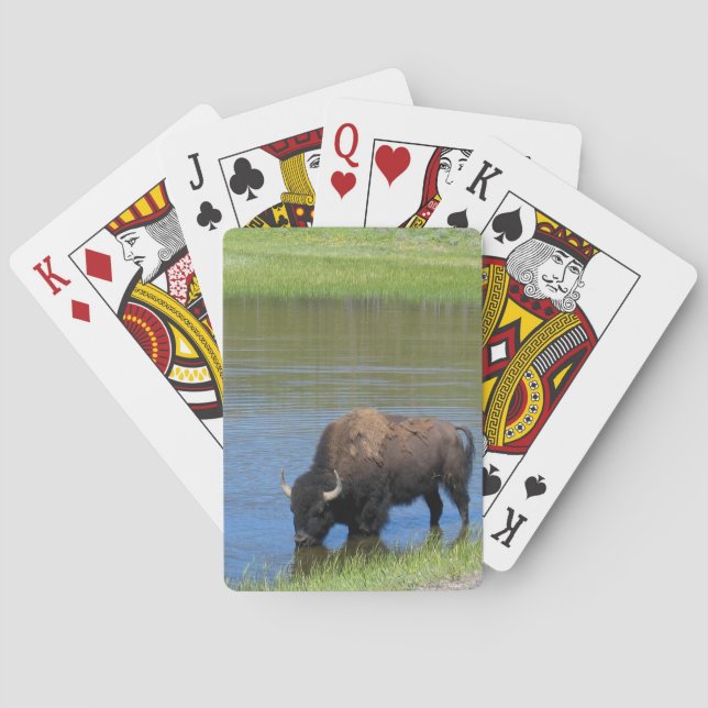Baraja De Cartas Yellowstone Buffalo Souvenir (Reverso)
