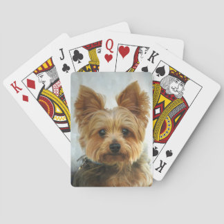 Baraja De Cartas Yorkie