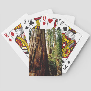 Baraja De Cartas Yosemite Redwoods