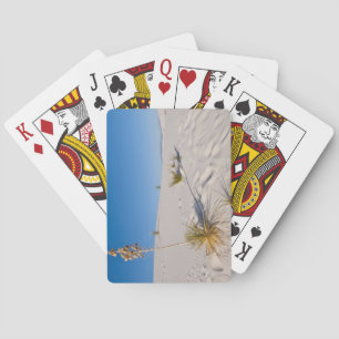 Baraja De Cartas Yuca de Soaptree, sombra larga, dunas