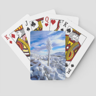 Baraja De Cartas Yucca cubierta de nieve