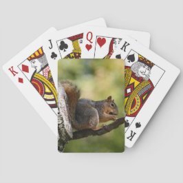 Baraja De Cartas Zen