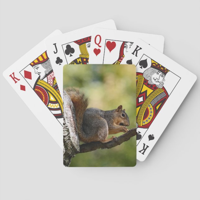 Baraja De Cartas Zen (Reverso)