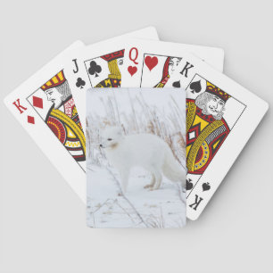 Baraja De Cartas Zorro Ártico