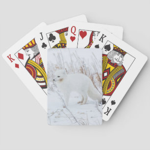 Baraja De Cartas Zorro ártico