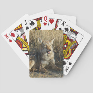 Baraja De Cartas Zorro de Pradera Echado