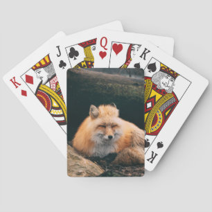 Baraja De Cartas Zorro Rojo Dormiendo