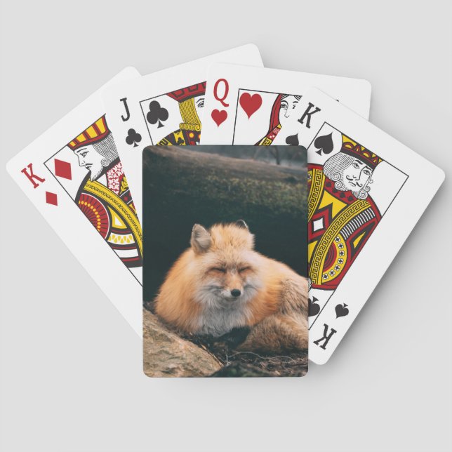 Baraja De Cartas Zorro Rojo Dormiendo (Reverso)