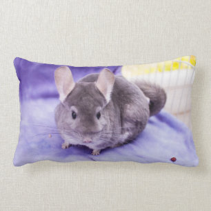 ¡Baratija! - Almohada de la chinchilla