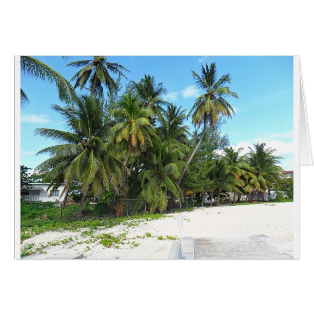 Barbados 2010 299 (Anverso (Horizontal))