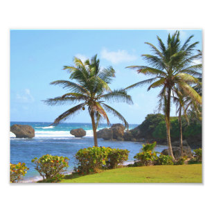 Barbados, Caribe, océano, palmeras, fotografía