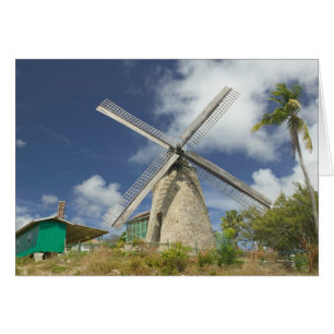BARBADOS, Costa Noreste, Morgan Lewis: Morgan