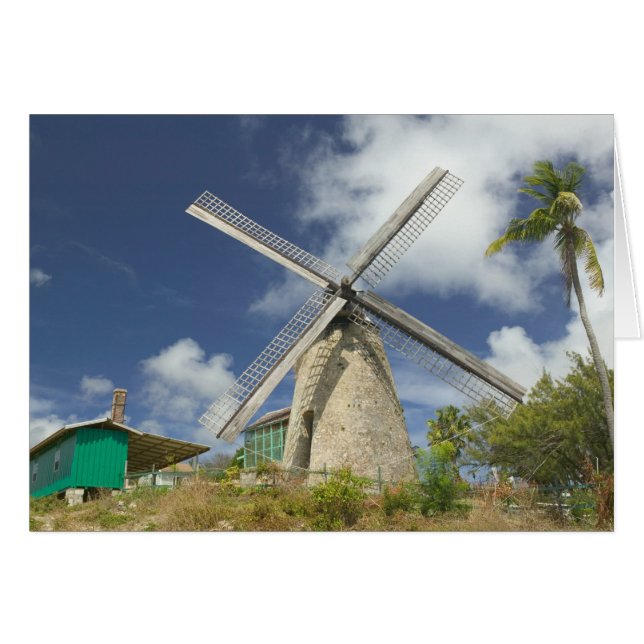 BARBADOS, Costa Noreste, Morgan Lewis: Morgan (Anverso (Horizontal))