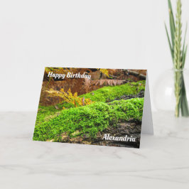 Barca de árbol en los mosquitos de otoño - Tarjeta
