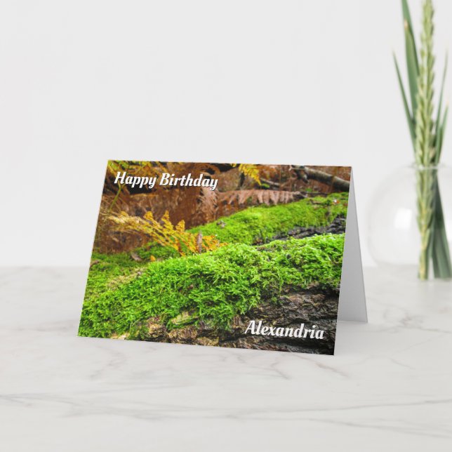 Barca de árbol en los mosquitos de otoño - Tarjeta (Anverso)