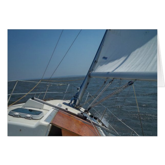 barco ahoy (Anverso (Horizontal))