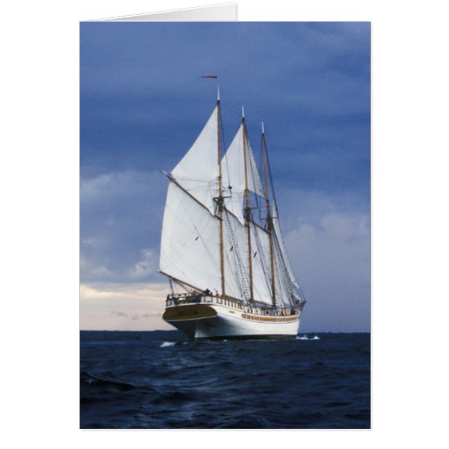 Barco De Vela En El Mar Báltico (Frente)