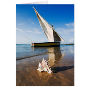 Barco de vela y Shell el   Mozambique, casa de