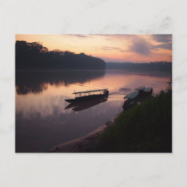 Barco en el río en la postal de la selva amazónica
