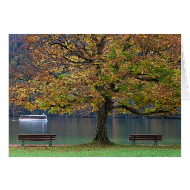 Barco en un lago en otoño, Alemania (Anverso (Horizontal))
