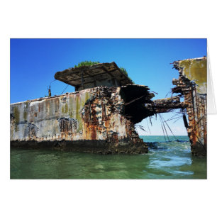 barcos de hormigón de la playa de kiptopeke